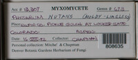 Image Associated With the Occurence